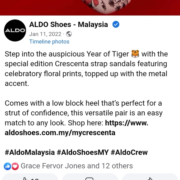 Aldo Crescenta Sling back sandals - Picture 15 of 15